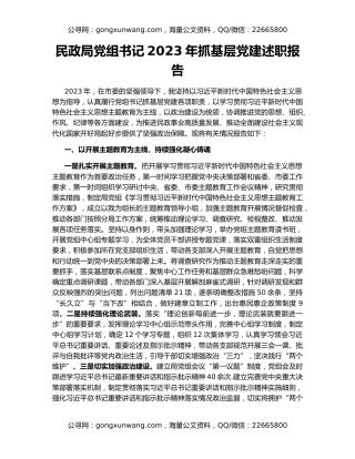 民政局党组书记2023年抓基层党建述职报告