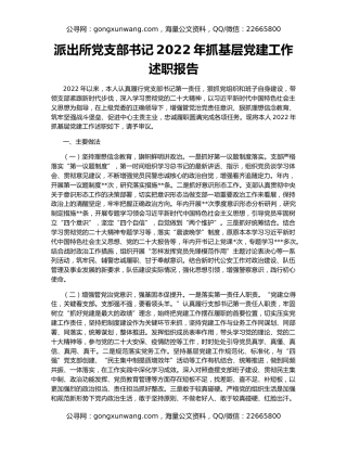 派出所党支部书记2022年抓基层党建工作述职报告