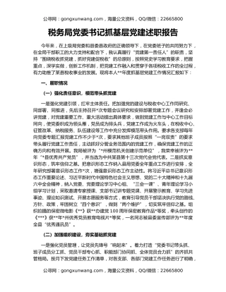 税务局党委书记抓基层党建述职报告