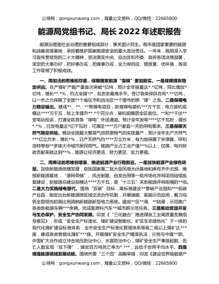 能源局党组书记、局长2022年述职报告