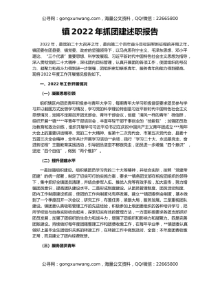 镇2022年抓团建述职报告