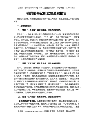 镇党委书记抓党建述职报告