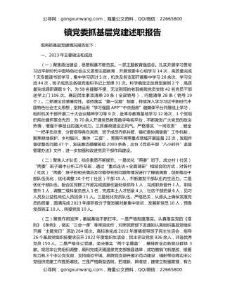 镇党委抓基层党建述职报告