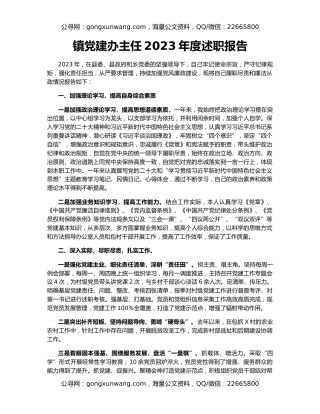 镇党建办主任2023年度述职报告