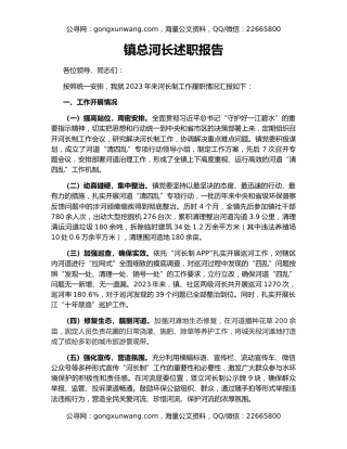 镇总河长述职报告（2）