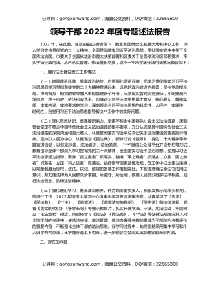 领导干部2022年度专题述法报告