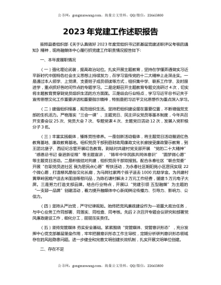 2023年党建工作述职报告