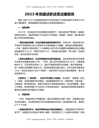 2023年党建述职述责述廉报告