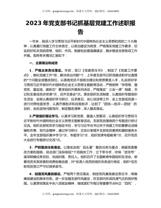 2023年党支部书记抓基层党建工作述职报告