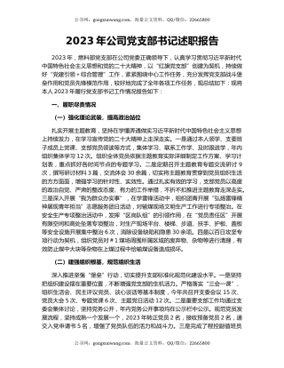 2023年公司党支部书记述职报告