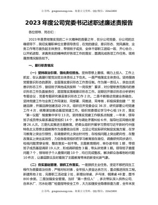 2023年度公司党委书记述职述廉述责报告