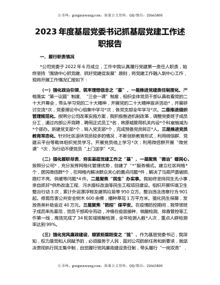 2023年度基层党委书记抓基层党建工作述职报告