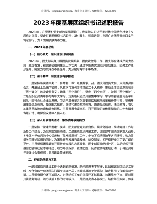 2023年度基层团组织书记述职报告