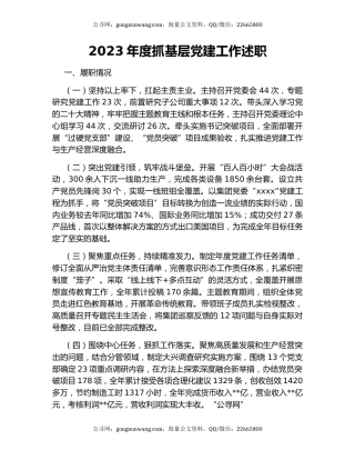 2023年度抓基层党建工作述职