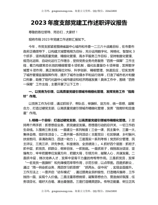 2023年度支部党建工作述职评议报告
