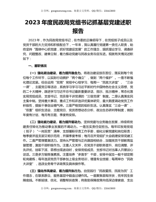 2023年度民政局党组书记抓基层党建述职报告