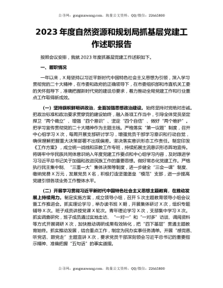 2023年度自然资源和规划局抓基层党建工作述职报告