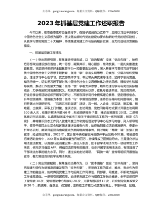 2023年抓基层党建工作述职报告