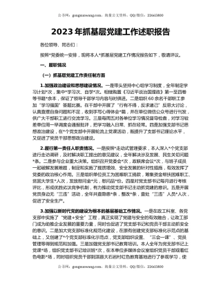 2023年抓基层党建工作述职报告（2）