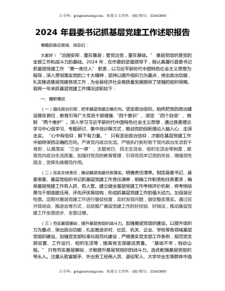 2024 年县委书记抓基层党建工作述职报告