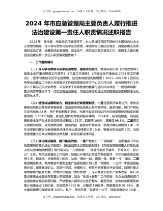 2024 年市应急管理局主要负责人履行推进法治建设第一责任人职责情况述职报告