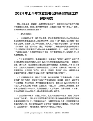 2024年上半年党支部书记抓基层党建工作述职报告