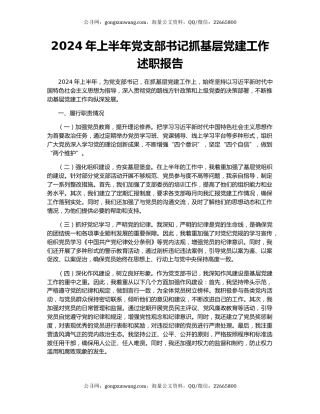 2024年上半年党支部书记抓基层党建工作述职报告（2）