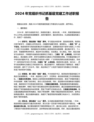2024年党组织书记抓基层党建工作述职报告