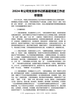 2024年公司党支部书记抓基层党建工作述职报告