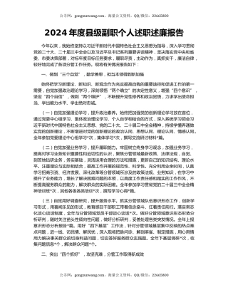 2024年度县级副职个人述职述廉报告