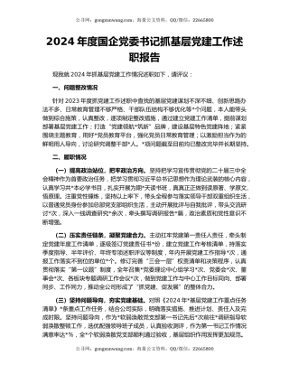 2024年度国企党委书记抓基层党建工作述职报告