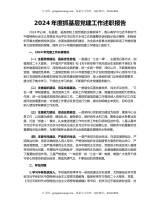 2024年度抓基层党建工作述职报告