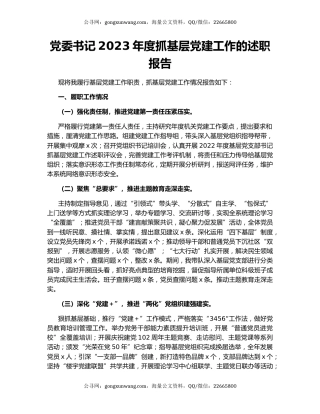 党委书记2023年度抓基层党建工作的述职报告