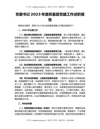 党委书记2023年度抓基层党建工作述职报告