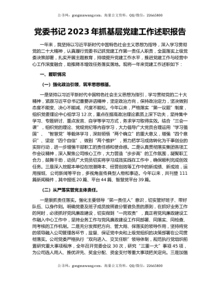党委书记2023年抓基层党建工作述职报告