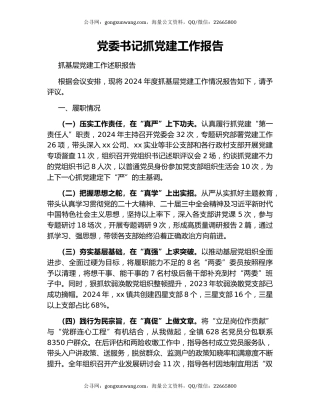 党委书记抓党建工作报告