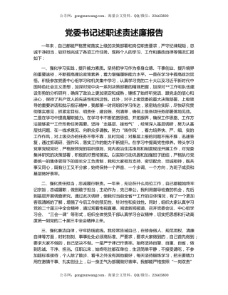 党委书记述职述责述廉报告