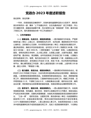 党政办2023年度述职报告