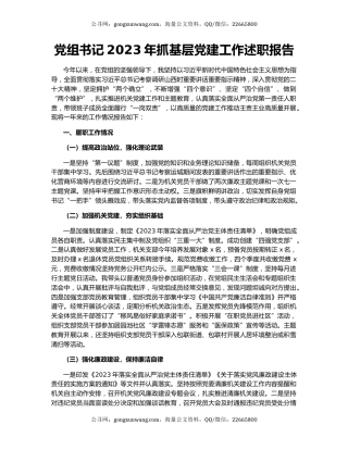 党组书记2023年抓基层党建工作述职报告