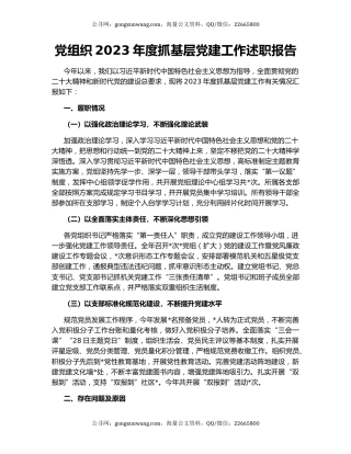 党组织2023年度抓基层党建工作述职报告
