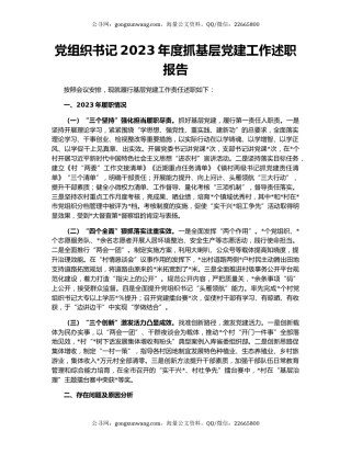 党组织书记2023年度抓基层党建工作述职报告