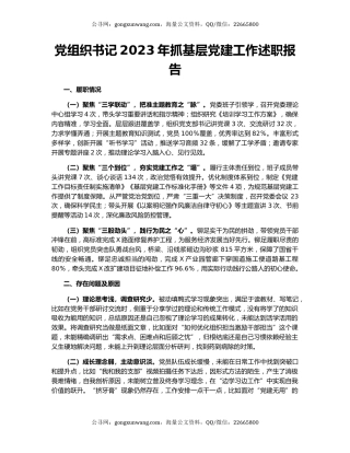 党组织书记2023年抓基层党建工作述职报告