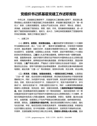 党组织书记抓基层党建工作述职报告