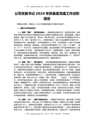 公司党委书记2024年抓基层党建工作述职报告