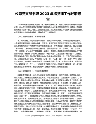公司党支部书记2023年抓党建工作述职报告