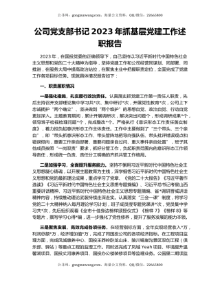 公司党支部书记2023年抓基层党建工作述职报告