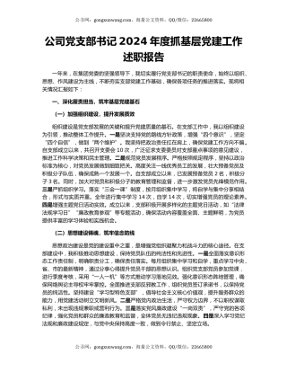 公司党支部书记2024年度抓基层党建工作述职报告
