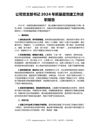 公司党支部书记2024年抓基层党建工作述职报告