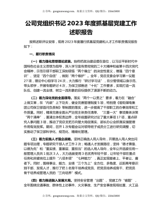 公司党组织书记2023年度抓基层党建工作述职报告