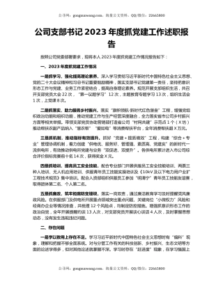 公司支部书记2023年度抓党建工作述职报告